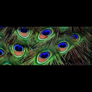 Meet your Posher, Lekita